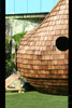 Cedar Shingles