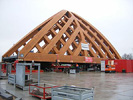 Accoya