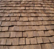 Sweet Chestnut
