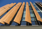 Cedar Louvres