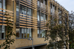 Timber Louvres