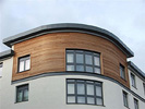 Western Red Cedar