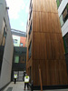 Western Red Cedar