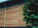 Western Red Cedar