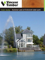 Summer Lake Case Study