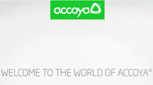 Accoya Video