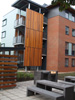 Western Red Cedar