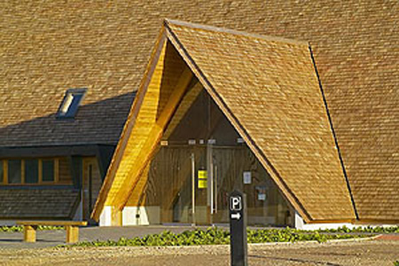 Cedar Shingles